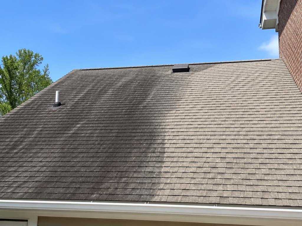 Asphalt shingle roof with black algae streaks partially cleaned off